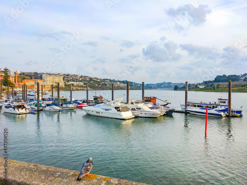 Harbor with moored motorboats