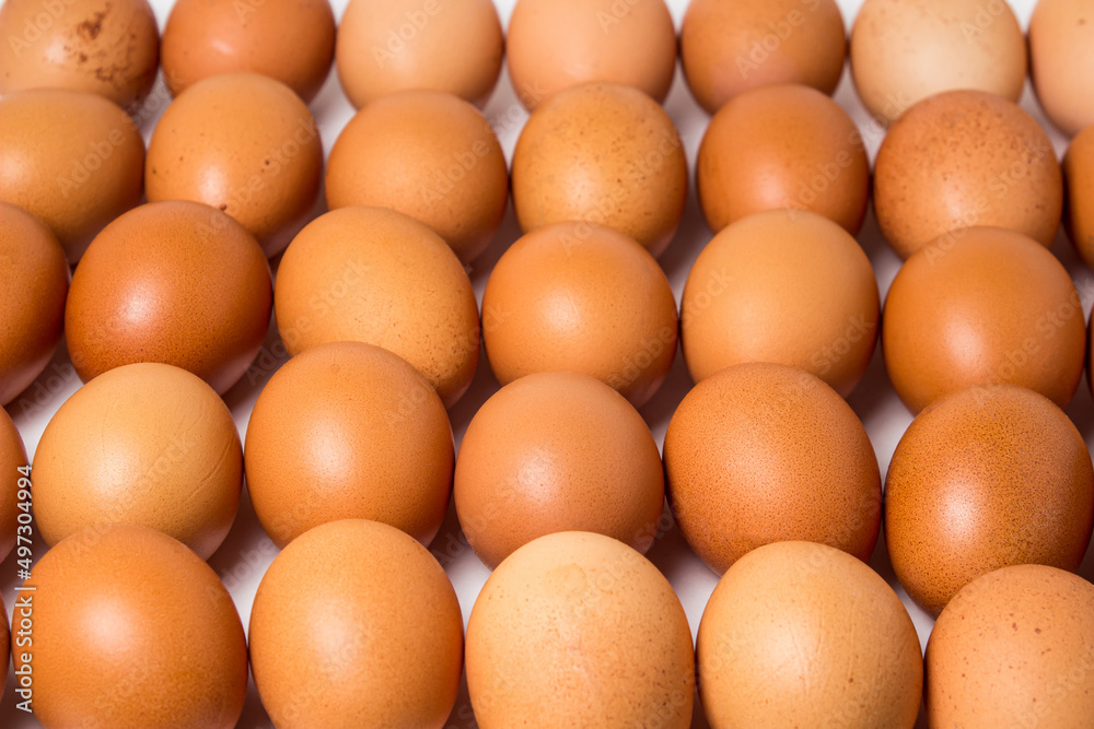 Lots of chicken eggs on a white background. Raw chicken eggs. Lots of chicken eggs on a white background. Raw chicken eggs.
