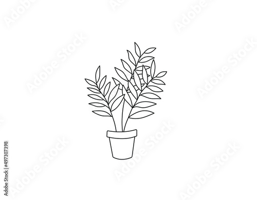 Vector isolated houseplant potted palm colorless black and white contour line drawing