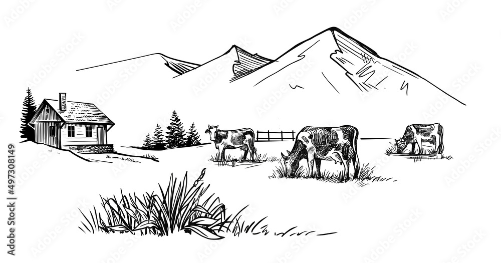Cows graze in alpine meadows vector sketch. Cows graze in alpine meadows vector sketch.