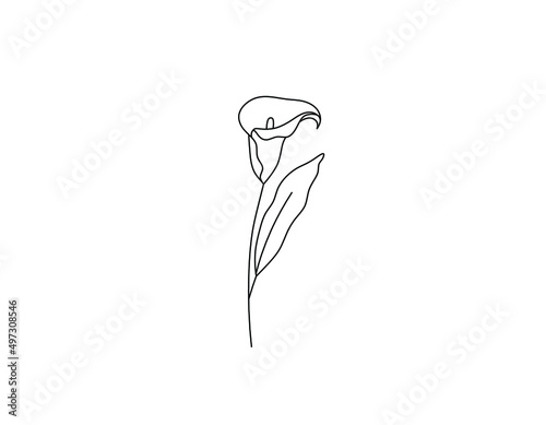 Valokuva Vector isolated single pretty alcatraz flower blossom colorless black and white