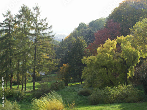 Autumn sunny nature in the Kiev botanical garden photo