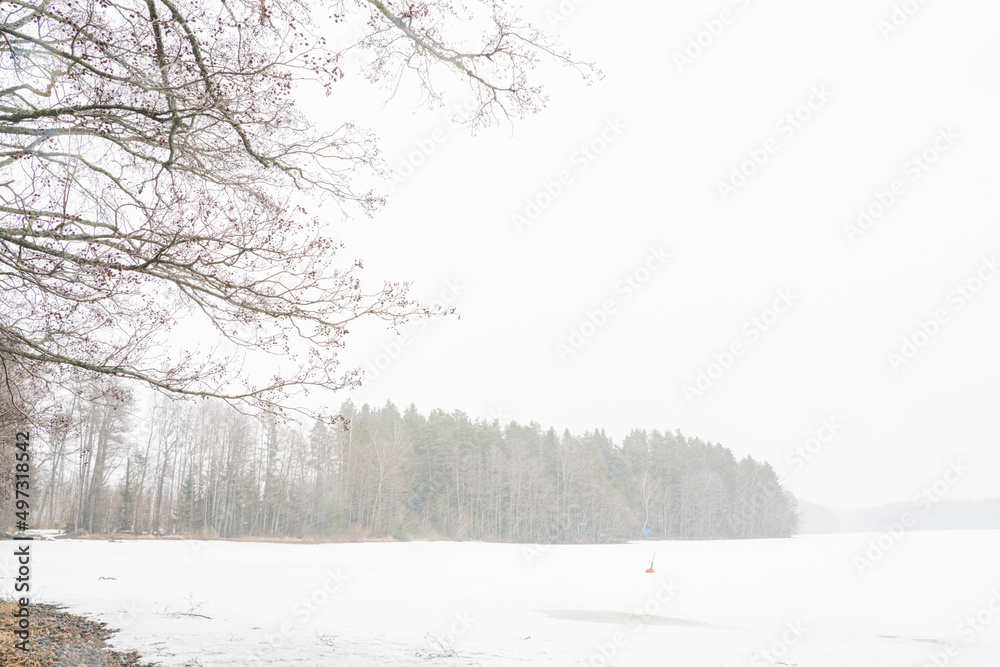 Obraz premium Snowfall . winter landscape over the lake. In the foreground are trees.