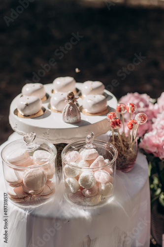 catering with various sweets  marshmallows  meringues in glassware