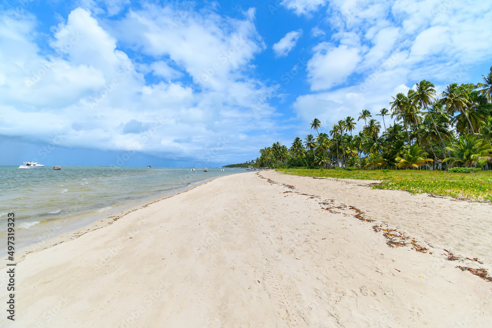 Landscape of Praia dos Carneiros beach, a famous beach of Tamandare, PE, Brazil. Beautiful beach, tourist destination of Pernambuco state. Landscape of Praia dos Carneiros beach, a famous beach of Tamandare, PE, Brazil. Beautiful beach, tourist destination of Pernambuco state.