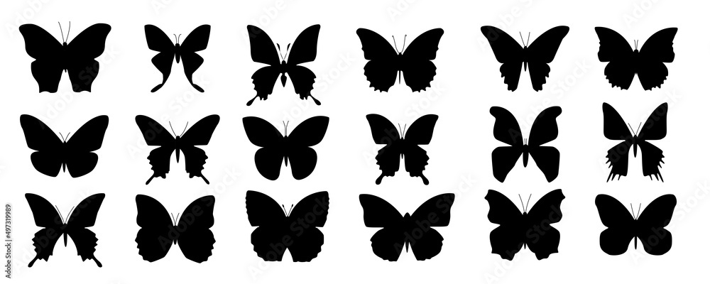 Butterfly icon and symbol Sillhouette Butterfly icon and symbol Sillhouette
