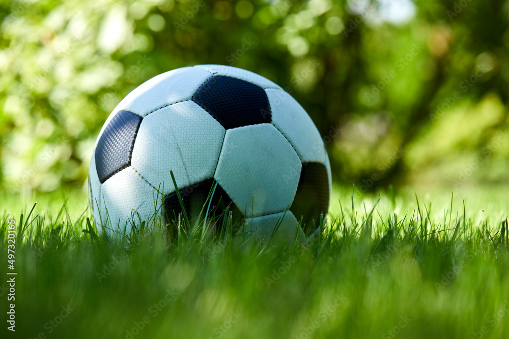 football ball on green grass lawn