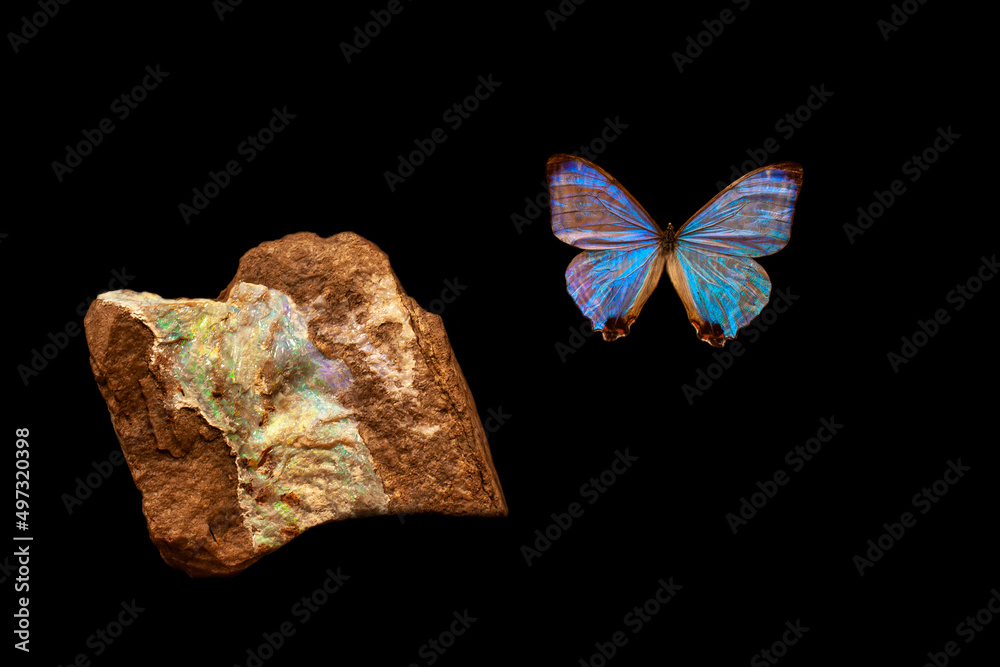Motyl i minerał Motyl i minerał