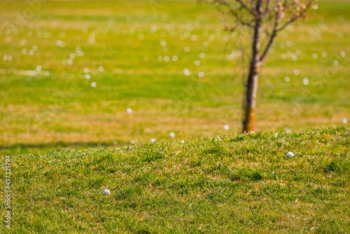 A golf ball in the foreground of a driving range on a golf course with many golf balls in the background