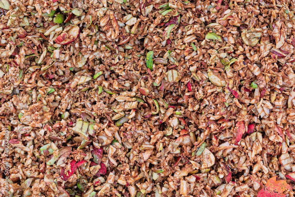Apple Pomace From Cider Press Apple Pomace From Cider Press