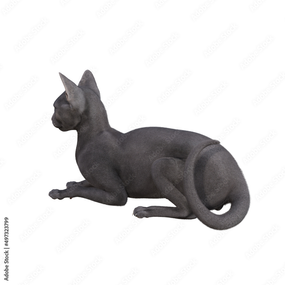 Fototapeta premium Sphynx cat isolated on white background. 3d rendering-illustration.