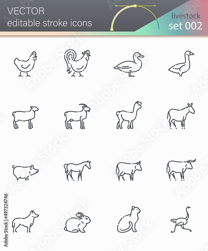 Vector livestock line icon set isolated on transparent background. photo