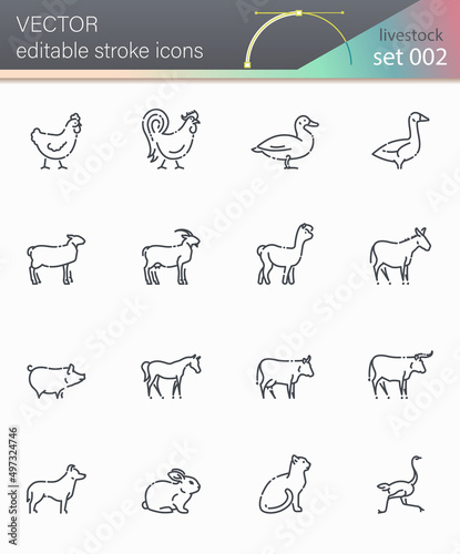 Vector livestock line icon set isolated on transparent background.