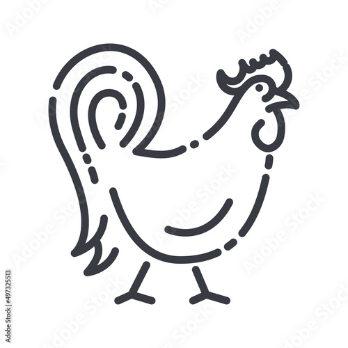 Vector rooster line icon isolated on transparent background.