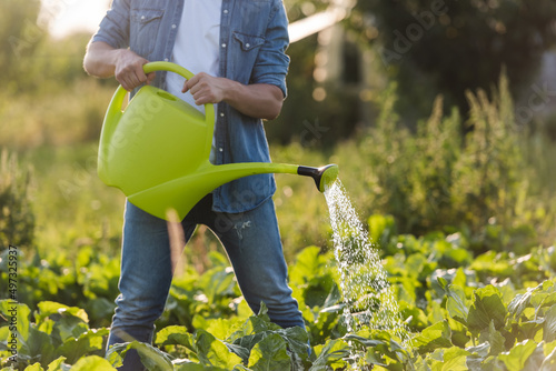 cropped view of farmer watering green plants in garden. photo