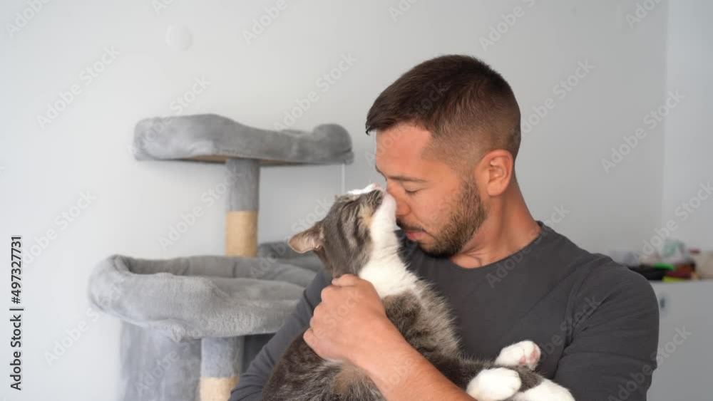 Man petting and kissing cat. Pets and human love, trust and friendship. Cat and owner together Man petting and kissing cat. Pets and human love, trust and friendship. Cat and owner together