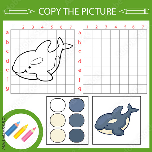 Kids education game. Copy drawing of killer whale. Kids draw lesson. Children activity page and worksheet with fun riddle.