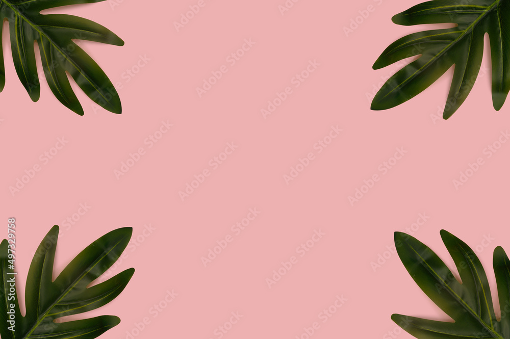 Green palm leaf on a pink background. With place for text.