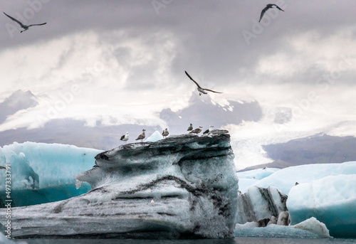 Iceberg and glacier in Iceland photo