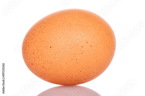 One chicken egg, macro, isolated on a white background.