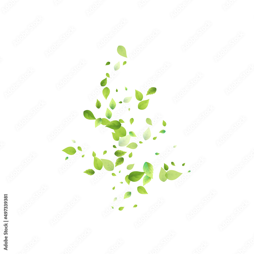 Leaves Green Falling Flying Foliage Leaf Tea Mint Leaves Green Falling Flying Foliage Leaf Tea Mint