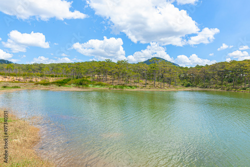 Beautiful landscape with blue water, pine woods, and blue sky in Chien Thang lake, Da Lat city, Lam Dong, Vietnam