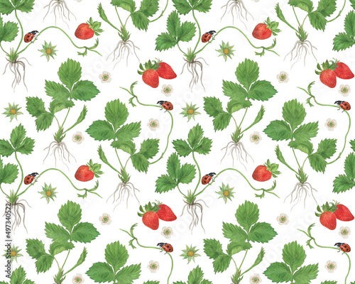 Wallpaper Mural Watercolor painting summer seamless pattern with strawberry, ladybug and white flowers Torontodigital.ca