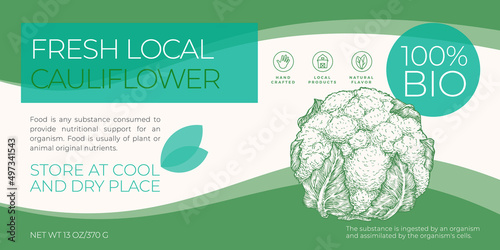 Fresh Local Vegetables Label Template. Abstract Vector Packaging Horizontal Design Layout. Modern Typography Banner with Hand Drawn Cauliflower Sketch Silhouette Background Isolated