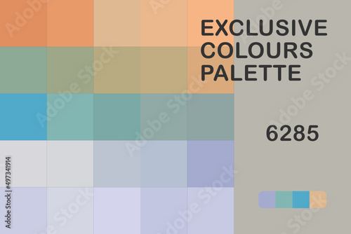 Exclusive Colours Palette 6285 photo