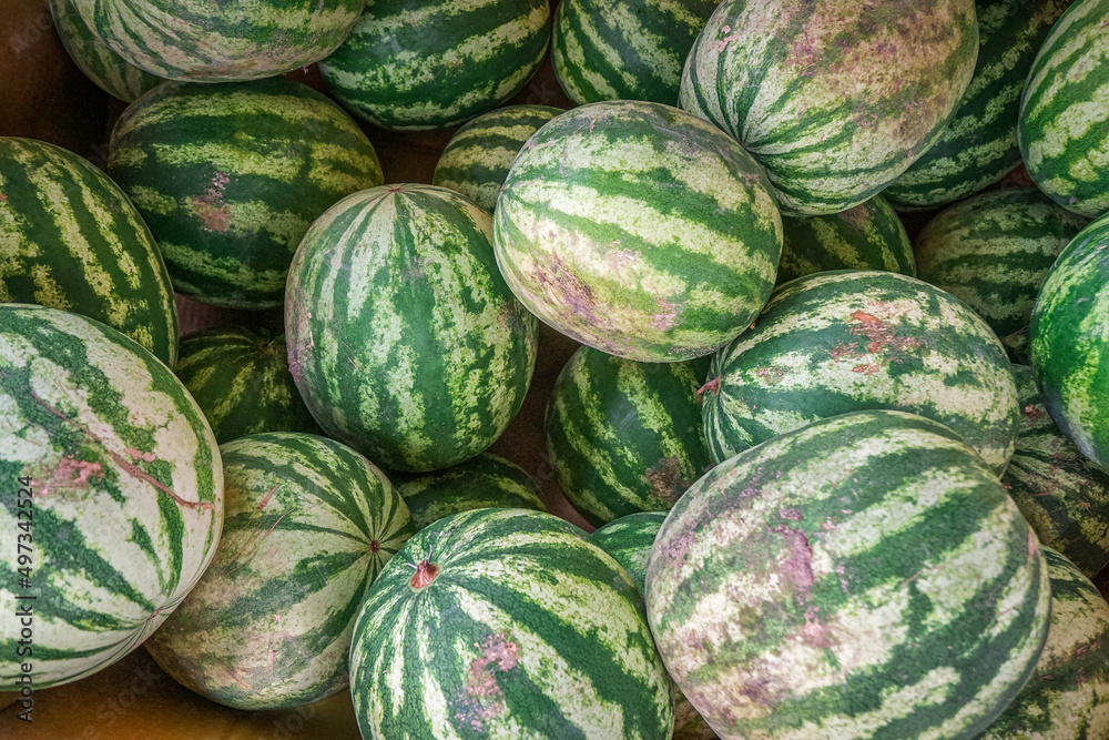 A Bunch of Watermellons