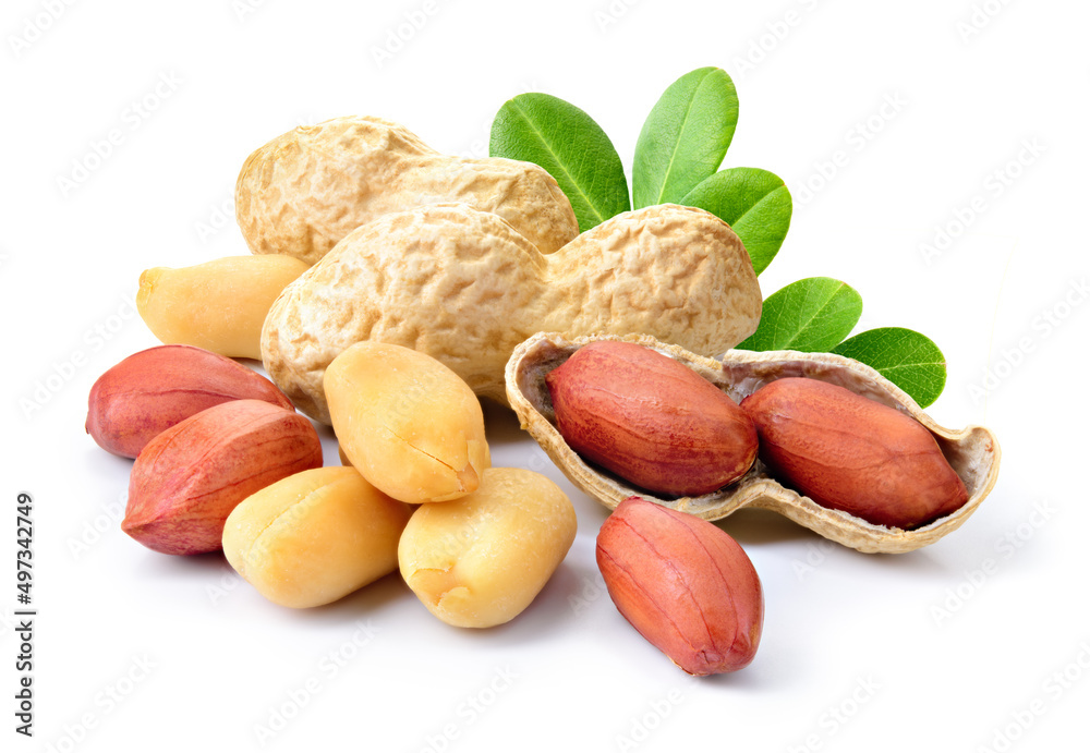 Peanut isolated. Peanuts with leaves and flower on white background
