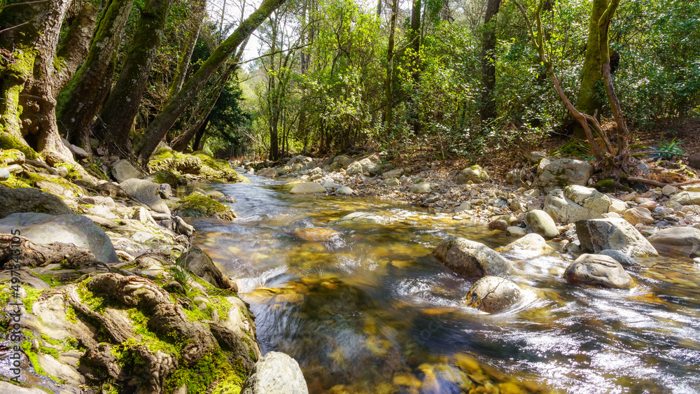 Obraz premium Riachuelo meandering between the trees of the enchanted forest, Batuecas, Salamanca, Spain.