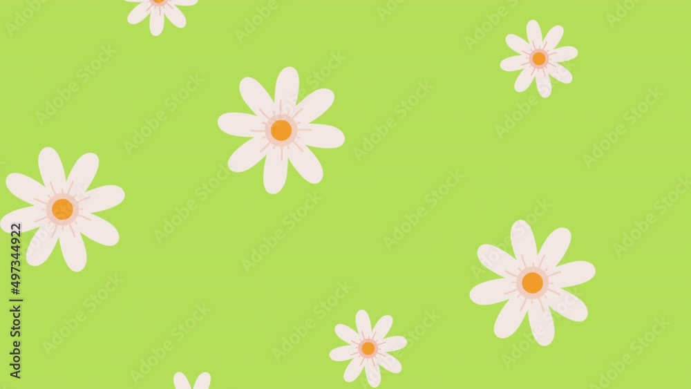 white flowers pattern in green background white flowers pattern in green background