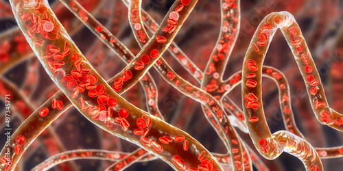 Blood vessel with flowing blood cells, 3D illustration photo