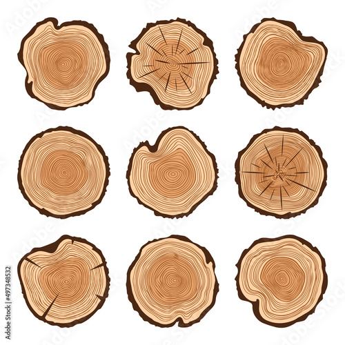 Round tree trunk cuts with cracks, sawn pine or oak slices, lumber. Saw cut timber, wood. Brown wooden texture with tree rings. Hand drawn sketch. Vector illustration