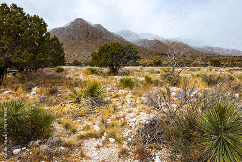 Snow on the Peaks in Guadalupe Mountain National Park