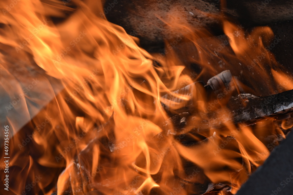 Blazing firewood in the fire coals Blazing firewood in the fire coals