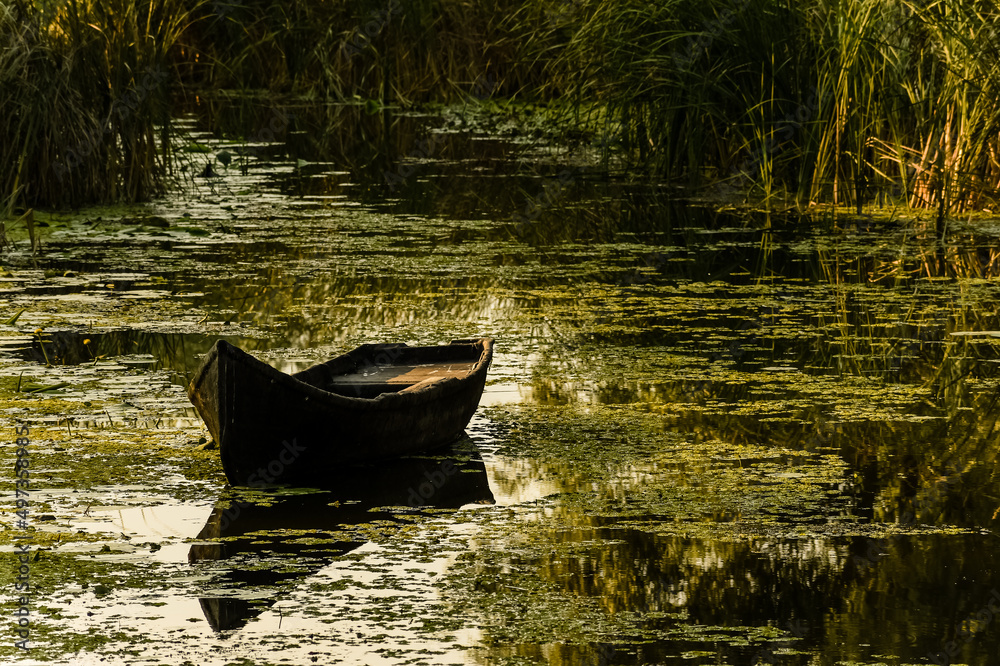 fishing boat in the Danube delta