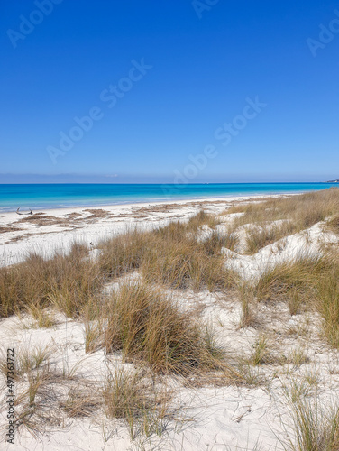 Fototapeta Naklejka Na Ścianę i Meble -  sand dunes and white beach