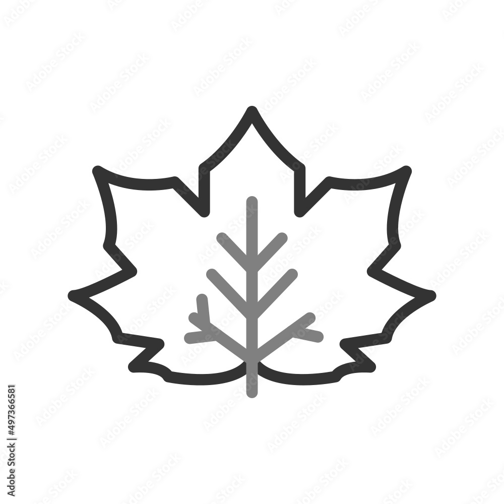 Obraz premium Maple Leaf Icon