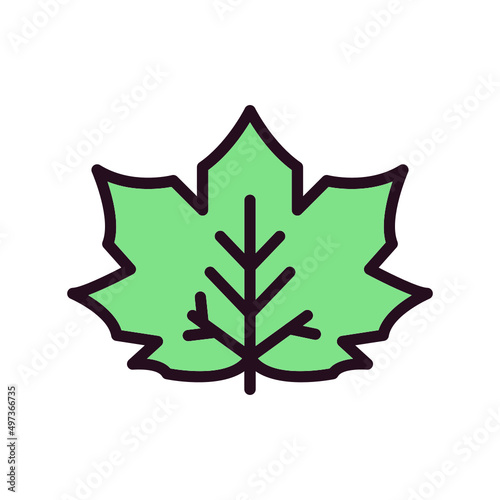 Maple Leaf Icon