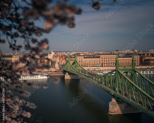 Beautiful Liberty Bridge wi...