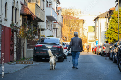 Wallpaper Mural street photography. woman walking her dog on a sunny afternoon. Torontodigital.ca