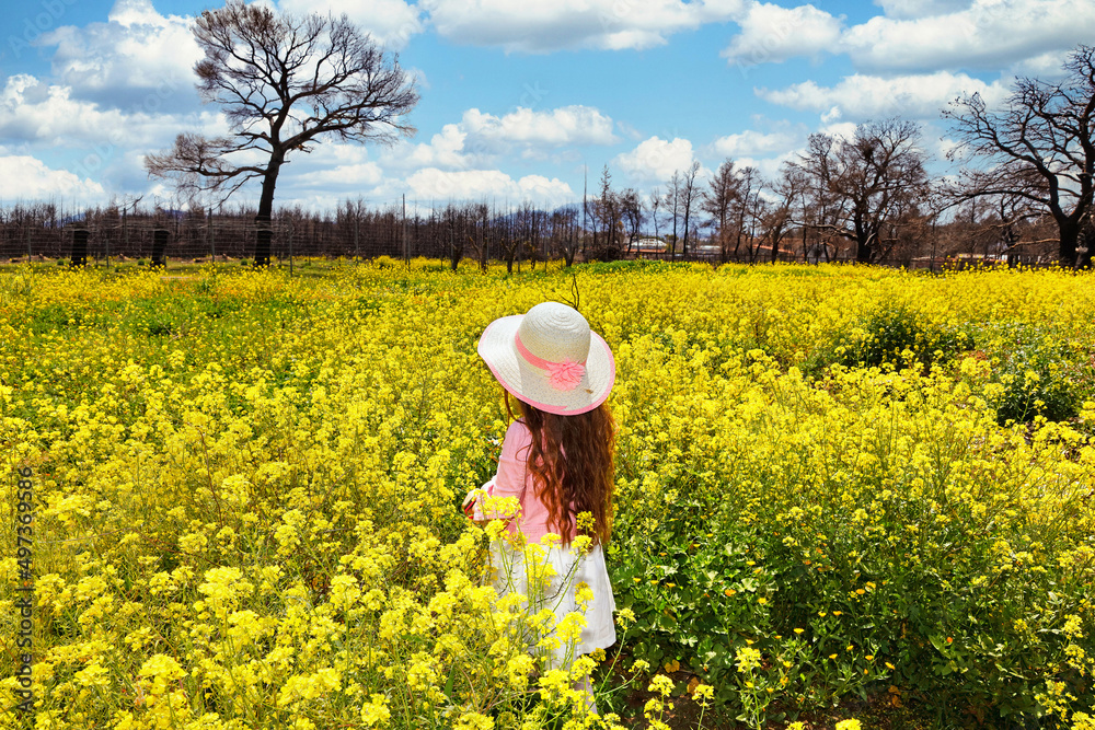 A small girl in a field of spring wildflowers