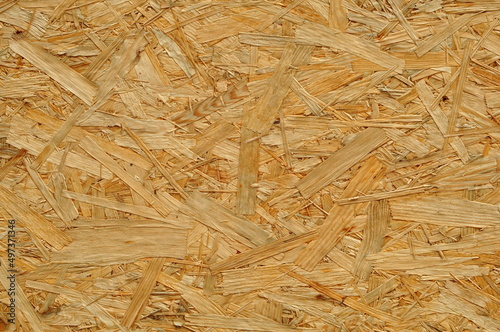 Wood texture background. Closeup of wood panel surface.