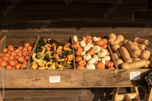 Assorted Gourds For Sale at a Local Market