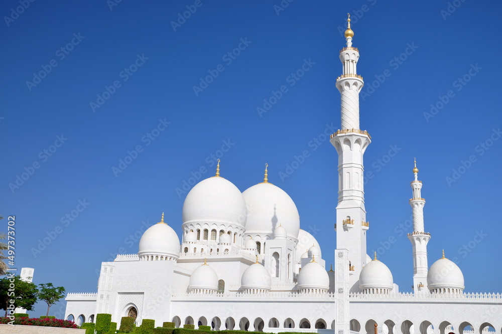 Obraz premium Sheikh Zayed Grand Mosque (Abu-Dhabi, UAE)