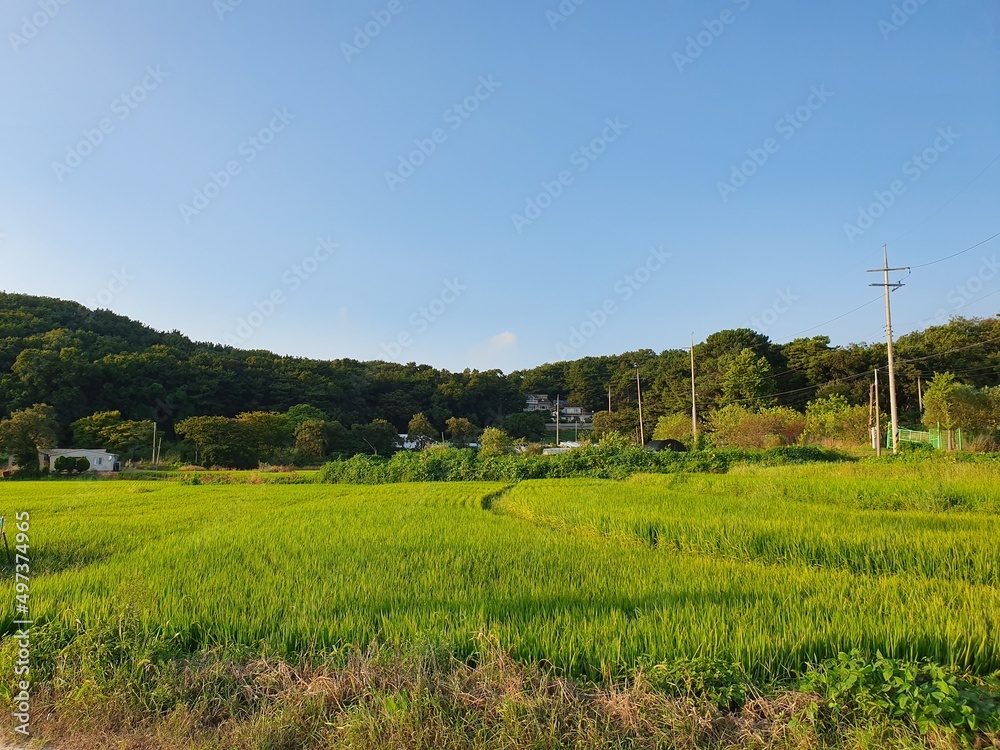 Beautiful rural scenes of Korea