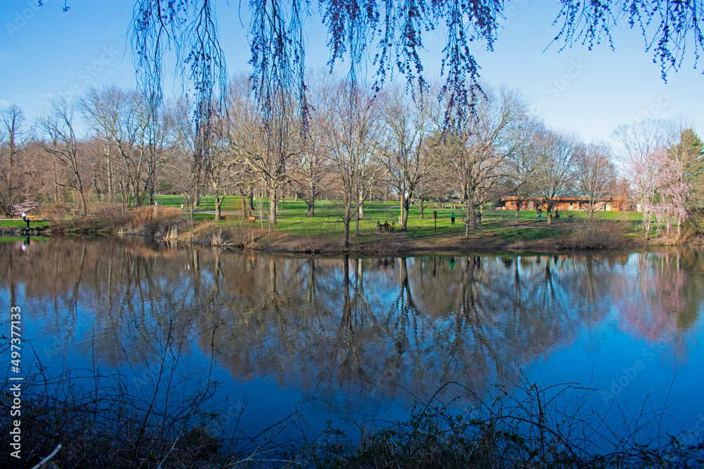 Reflections of local trees, vegetation, and sky, in small lake at Holmdel Park, New Jersey, on a sunny day -08