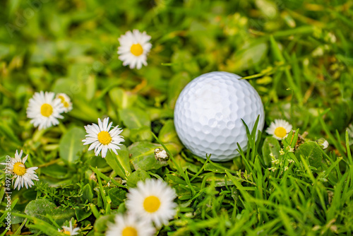 Close-up of a golf ball lying in green grass.